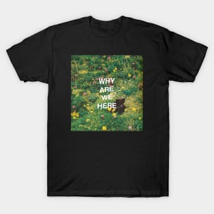 Why Are We Here T-Shirt